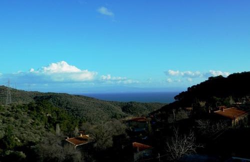 Yesilyurt Koyu Hotel | Ida Tas Konak