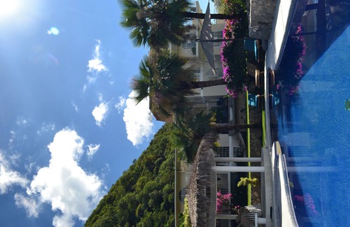 Morelos Haus | Ideal for working from home and spending time with the family