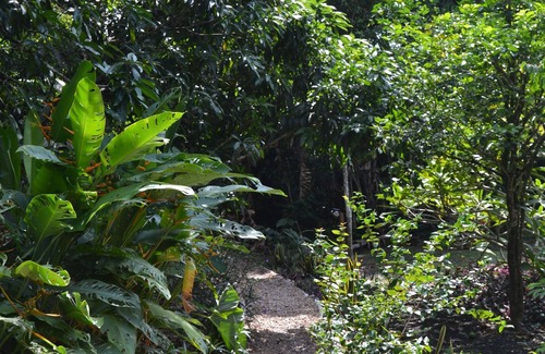 San Ignacio Kabine | Iguana Roost - Eine vom Tourismus nach Goldstandard genehmigte, ausgestattete Hütte mit zwei Schlafzimmern