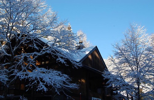 Iida Kabine | Il Bosco