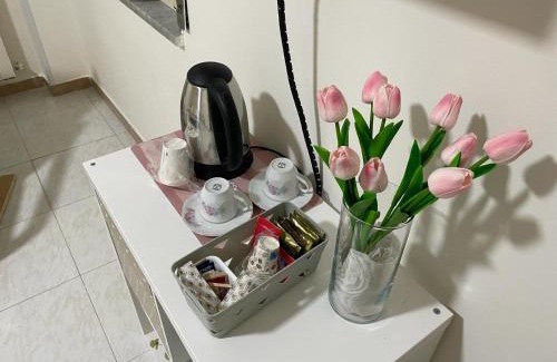 Marcianise Haus | Il Tulipano