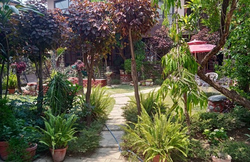 Bullawala Haus | Deluxe cozy nest 1 room set