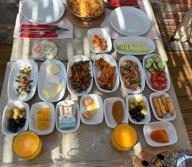 Selcuk Hotel | in Ephesus Hotel and Art Galery