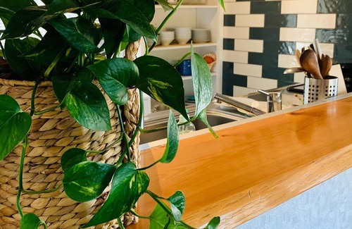 Kamogawa Villa | In front of the sea! Limited to one group per day, complete rental of one building