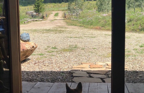 Dolores Kabine | Frieden und Ruhe in der Espen Ist Southwest Colorado!
