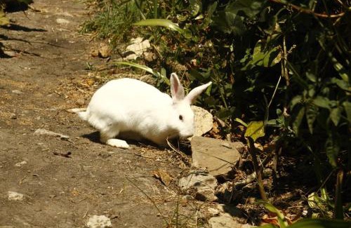 Machakos Sonstige | Infinity Camp Grounds Maanzoni Backpackers