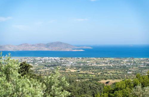 Zia Wohnung | Infinity II - Modern Family Retreat in Kos