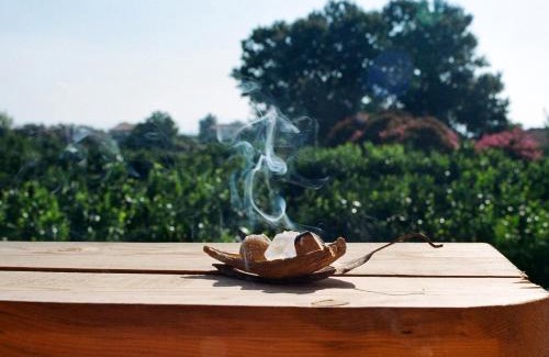 Pineios Haus | Irene's Treehouse