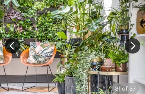 Kirk Sandall Hütte | Immaculate 6-Bed Ivy house