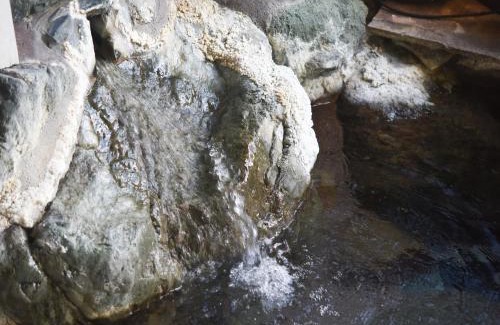 Minami-Alps Hotel | Iwazonokan