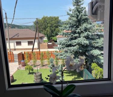 Bogacs Wohnung | Izabella Apartman Bogács