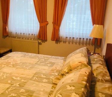 Trencianske Teplice Haus | Izba s kúpeľňou Florida
