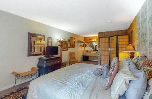 Eureka Springs Historic District Hotel | Jacuzzi Suite 205 at Tradewinds