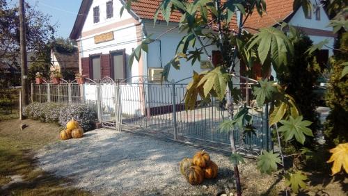 Csesztreg Haus | Jakuzzis,Szaunás,Kerkavendégház-Őrség-Csesztreg-Kerkaujfalu