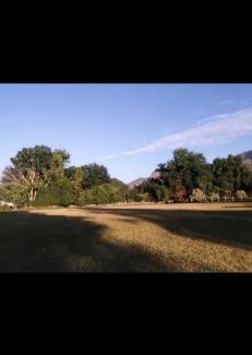 Tepoztlan Sonstige | Jardín El Cocodrilo