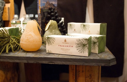 Moose Kabine | Jenny Lake Lodge