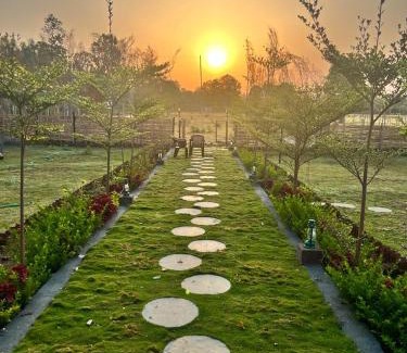 Tala Haus | Jewel Stay PURE VEG