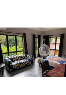 Bentong District Haus | Jimmy Durian Orchard