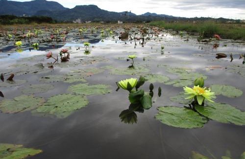 Baihe Bed & Breakfast | Joel's Garden 悠爾庭園古厝民宿