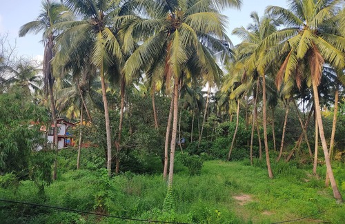 Colva Wohnung | Johnny guest house colva beach