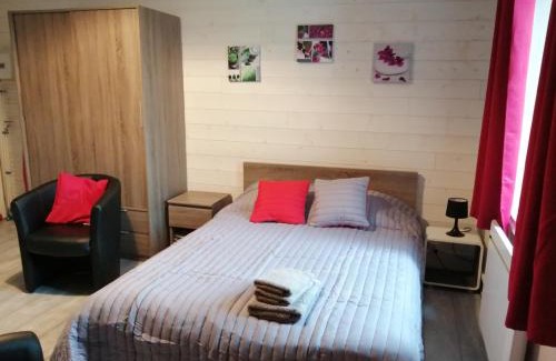 Vittel Wohnung | Joli studio dans un ancien hôtel du XIX siècle - Proche toutes commodités - Thermes et Parc