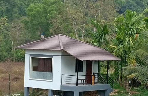 Tumari Haus | Jolly Homestay