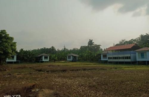 Tumari Haus | Jolly Homestay