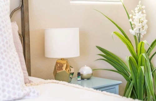 Indian Cove Haus | Joshua Tree Oasis with Pool By Summer