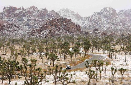 Joshua Tree Highlands Haus | Joshua Tree’s Highland Hideaway Compound