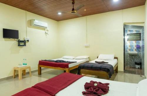 Dandeli Haus | Jungle inn Stay