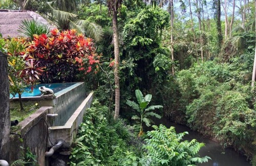 Celuk Haus | Junior Suite Zimmer in Sukawati, umgeben von üppigem Garten