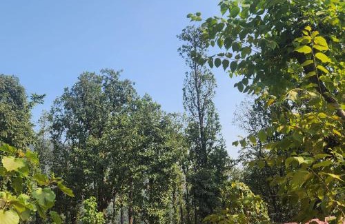 Haridwar Sonstige | Kanaar Jungle View Resort