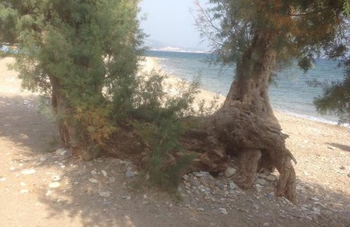 Ireon Haus | Karin & Nikos