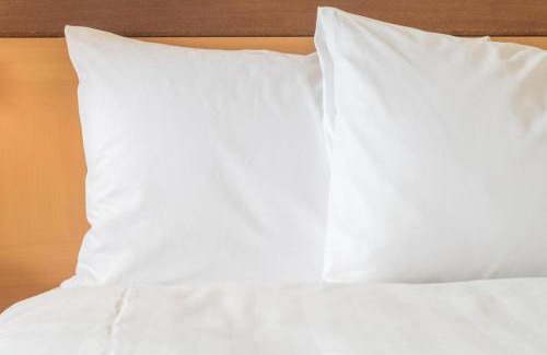 Jackson Wohnung | King Bed Hotel Room 152