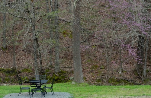 Mount Ida Wohnung | King Guest Room located at the entrance to Mountain Harbor just 2 1/2 miles from Lake Ouachita. by RedAwning