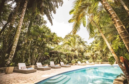 Forest Home Wohnung | King Jungle Suite