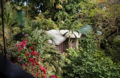 Forest Home Wohnung | King Jungle Suite