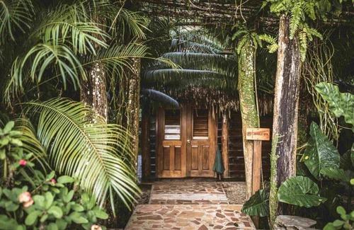 Forest Home Wohnung | King Jungle Suite