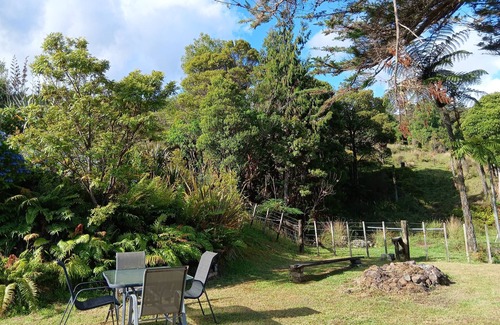 Waimamaku Haus | King of the Weka