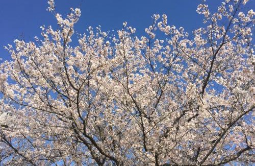 Kinugawa Onsen Hotel | kinugawaonsen Fukumatsu