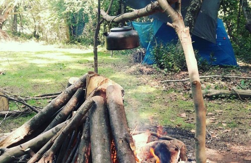 Cinarcik Wohnmobilvermietung | Kirkahvesi Garden - Campsite