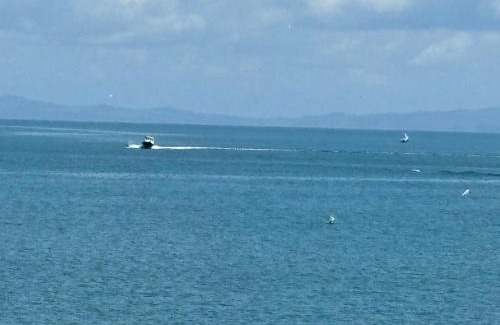 Tapu Sonstige | Kiwi Cabins