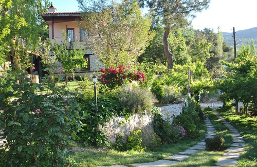 Islamlar Villa | Ruhige Villen inmitten von Naturgärten mit privatem Pool