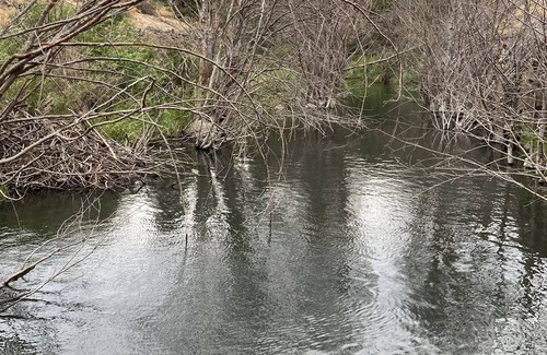 Lyle Kabine | Klickitat Rails to Trails Cabin- Hikers and Bicyclers- S