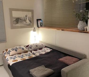 Koli National Park Wohnung | Kolin Pikkukolo - Saunallinen studiohuoneisto