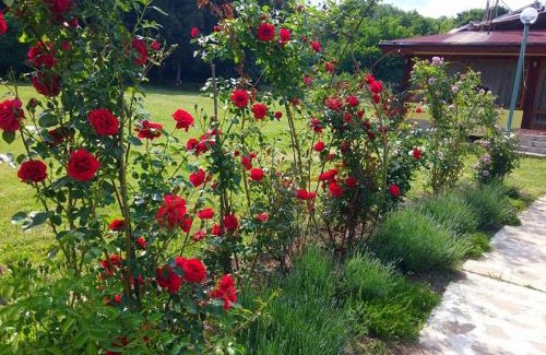 Razgrad Hotel | Kovanlika Hotel