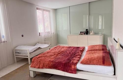 Ostrava Wohnung | Krásný velký byt s terasou