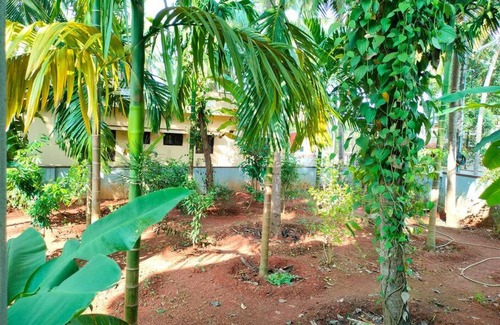 Udupi Wohnung | Krishna Kunja