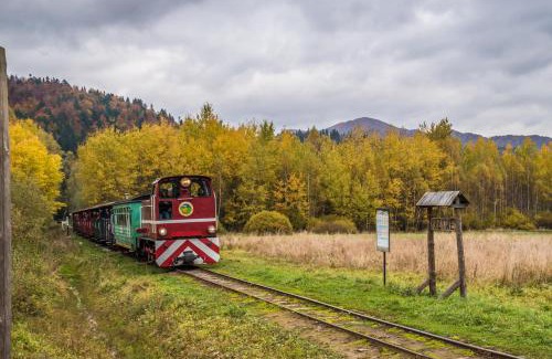 Cisna Kabine | Krzywy Zakątek