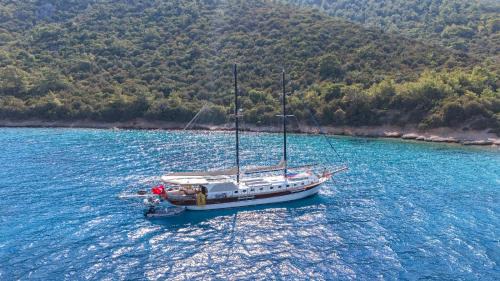 Bodrum City Center Bootsverleih | Lıfe ıs lıfe